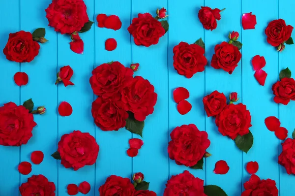 Flores de rosas vermelhas em madeira azul . — Fotografia de Stock