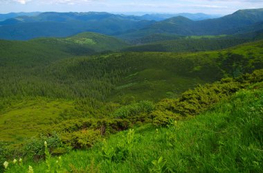 Yazın dağ manzarası