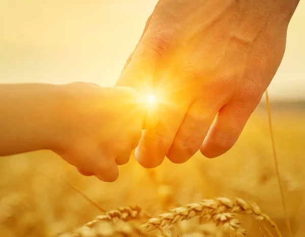 Hände von Vater und Tochter an der Sonne — Stockfoto