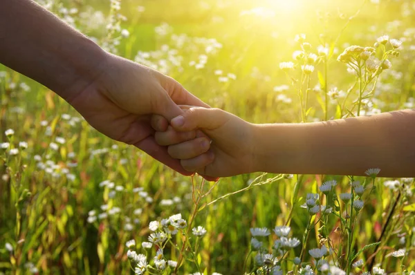 Mani di tenersi reciprocamente sul campo — Foto Stock