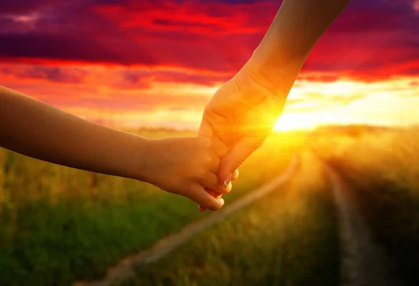 Hands of holding each other in field — Stock Photo, Image