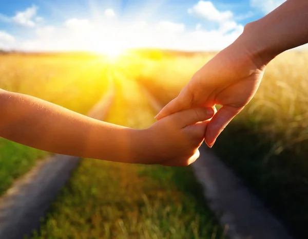 Hands of holding each other in field — Stock Photo, Image