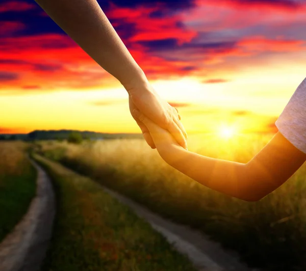 Hands of holding each other in field — Stock Photo, Image