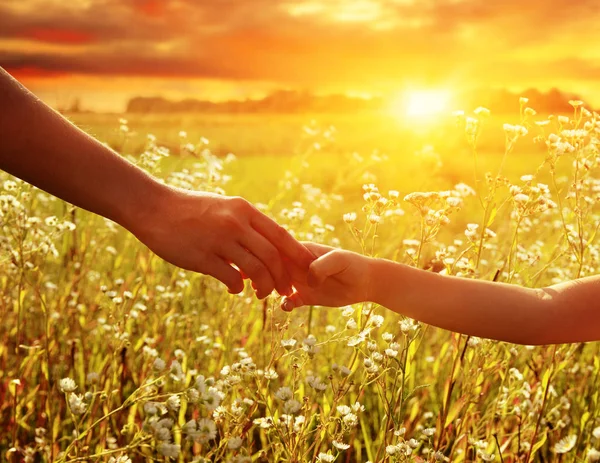 Hands of holding each other in field — Stock Photo, Image