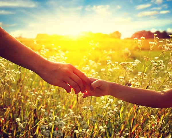 Hands of holding each other in field — Stock Photo, Image