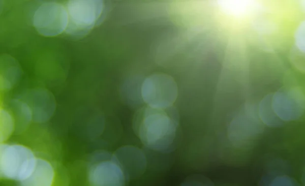 Gröna suddig bakgrund — Stockfoto