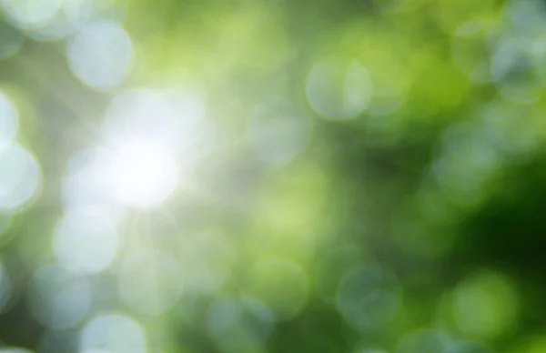 Green blurred background — Stock Photo, Image