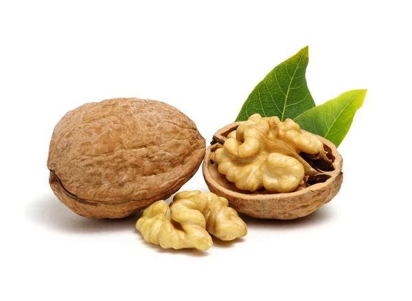 Vlašské ořechy s listy — Stock fotografie