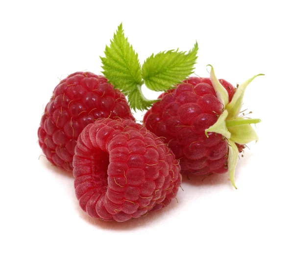 Raspberry with leaves Royalty Free Stock Photos