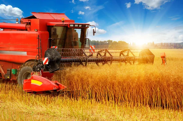 Mähdrescher im Feld — Stockfoto