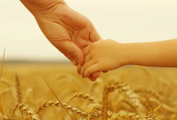 Hände von Mutter und Tochter — Stockfoto