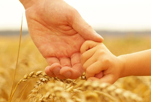 Mani di madre e figlia — Foto Stock