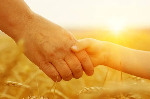 Mani di madre e figlia sul sole — Foto Stock