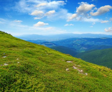 Yazın dağ manzarası