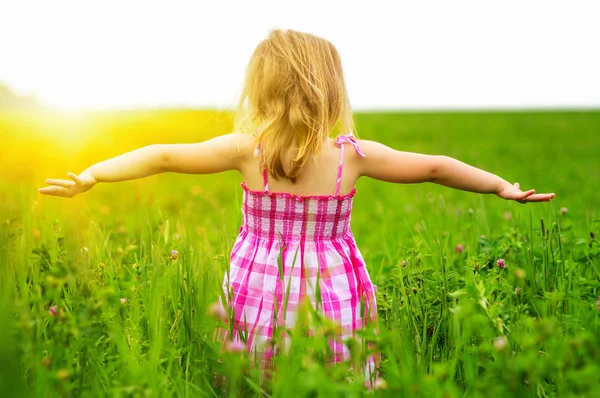 Meisje en veld — Stockfoto