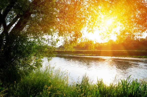 河在太阳 — 图库照片