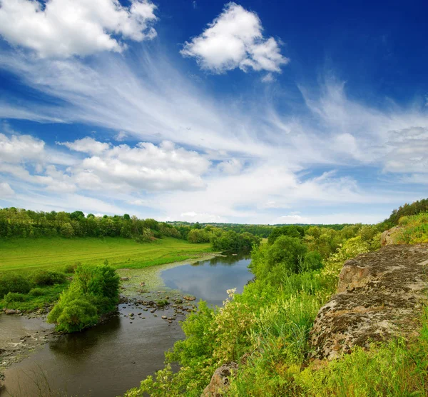 Ağaçlar ve Nehri — Stok fotoğraf