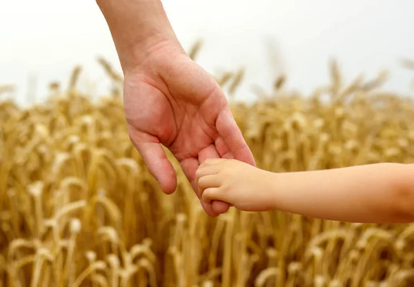 Ruce dítěte a otce — Stock fotografie