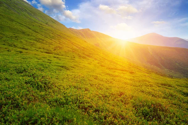 Montagne avec le soleil — Photo