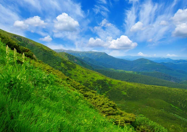 Paysage de montagne en été — Photo