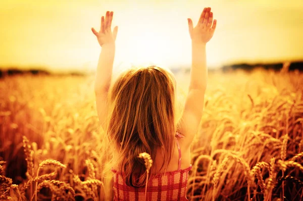 Mädchen auf einem Weizen — Stockfoto