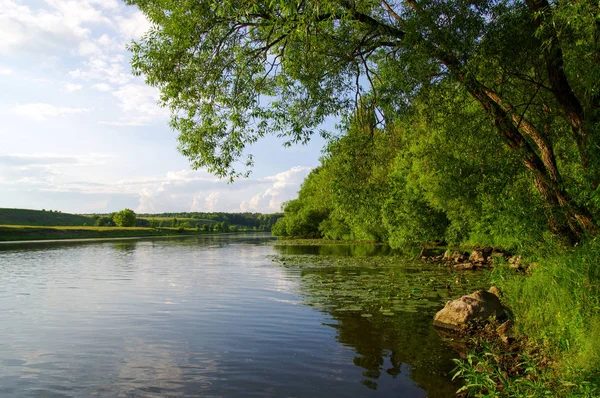 Trees and a river — Stock Photo, Image