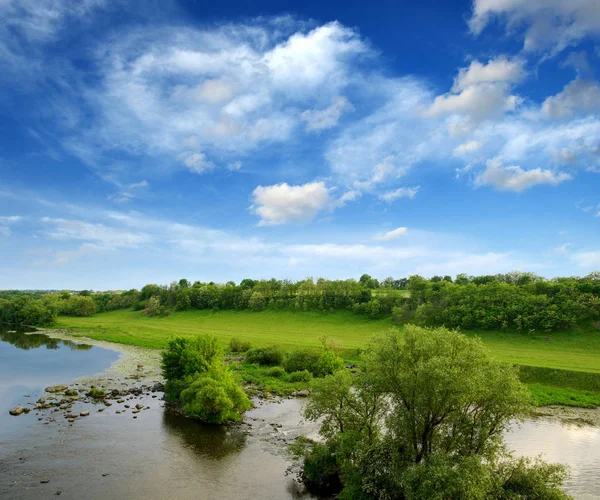 Trees and a river — Stock Photo, Image