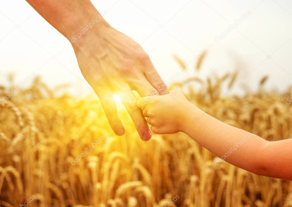 hands of child and father