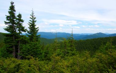 Yazın dağ manzarası