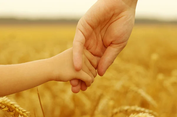 Mani di padre e figlia — Foto Stock