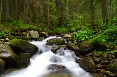 Yeşil ormandaki nehir dağ
