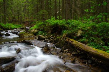  ahşap Stream