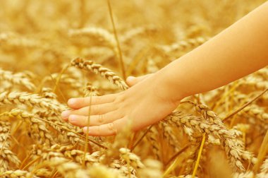 Küçük kız elinde 