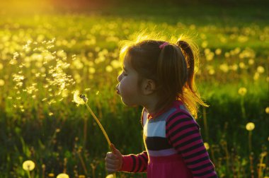 Kız üfleme karahindiba 