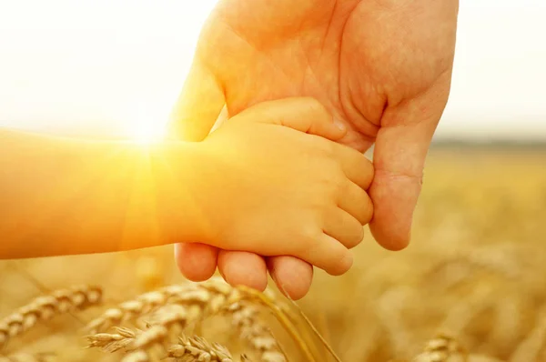 Hände von Mutter und Tochter in der Sonne — Stockfoto