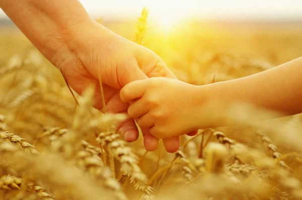 Hands of mother and daughter on sun — Stock Photo, Image