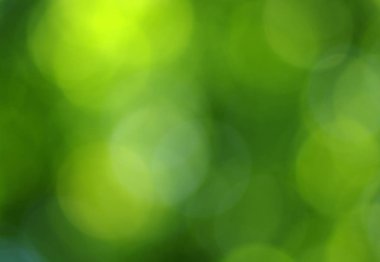 Yeşil bokeh 