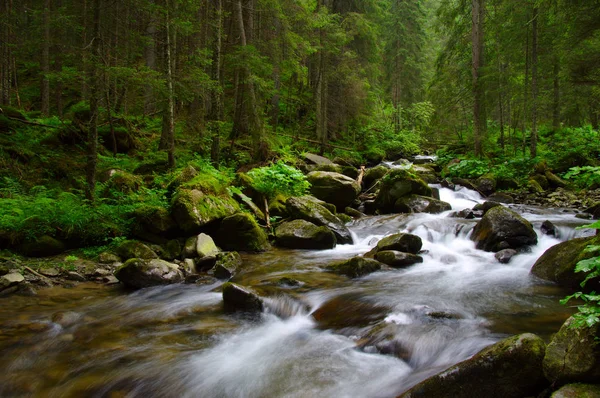 Rio da montanha na floresta verde — Fotografia de Stock