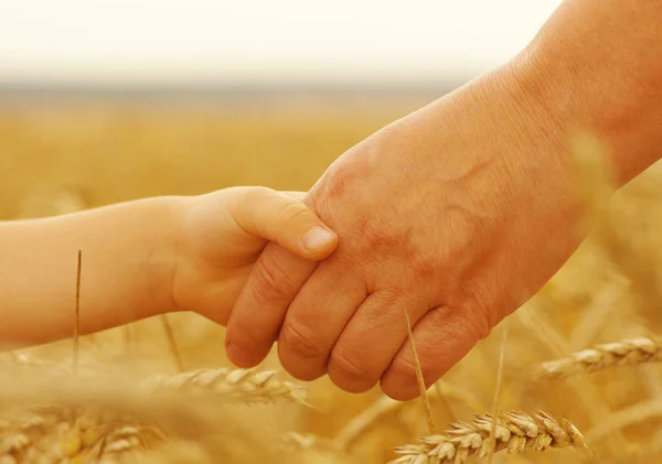 Händerna på mor och dotter — Stockfoto