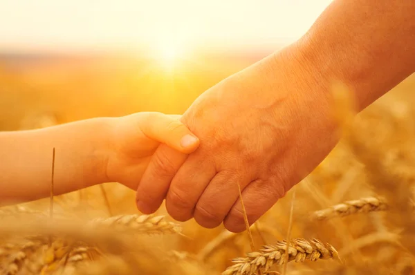 Handen van moeder en dochter op de zon — Stockfoto