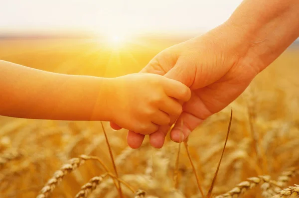 Handen van moeder en dochter op de zon — Stockfoto