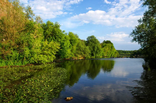 Träd och en flod — Stockfoto