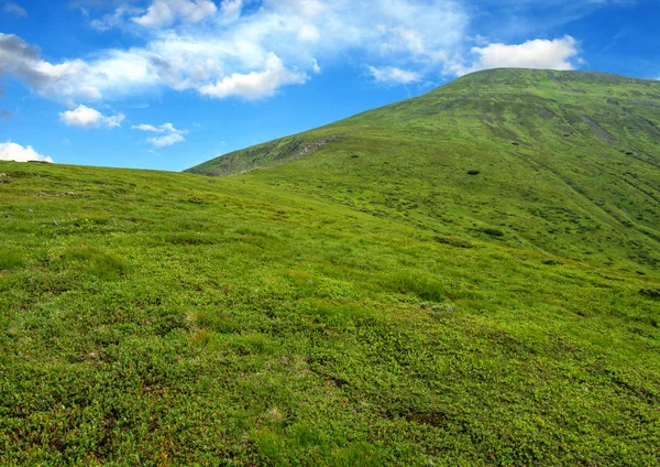 Paisaje de montaña en el verano — Foto de Stock