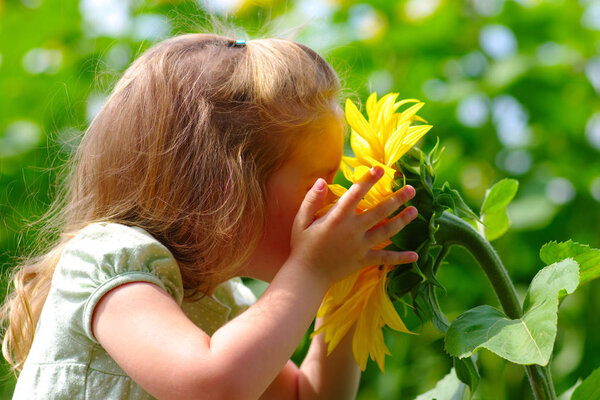 little girl smelling a sunflower