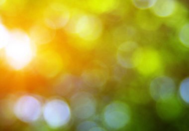 yeşil arka plan bulanık