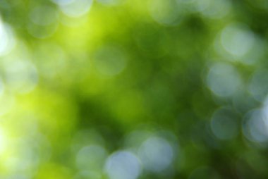 yeşil arka plan bulanık