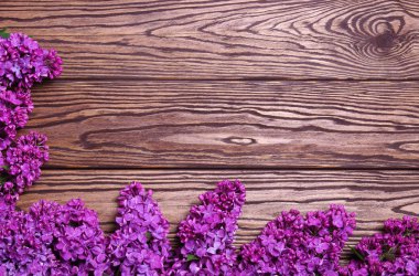 eski bir ahşap üzerine Eflatun çiçekler