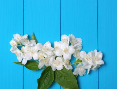  Ahşap üzerine bahar çiçekleri