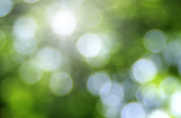 緑の背景をぼかし — ストック写真