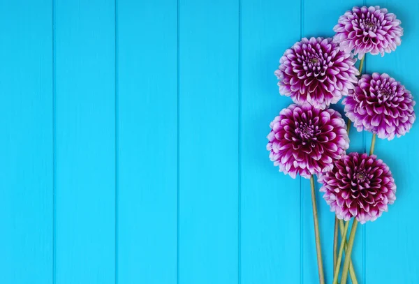 Bloemen op blauw geschilderde houten planken. — Stockfoto